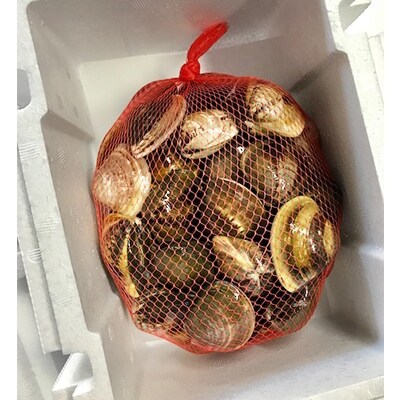 マルヨシ水産 桑名産中粒天然蛤1.4kg(約46個)m_55