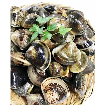 マルヨシ水産 桑名産中粒天然蛤1.9kg(約57個)b_56