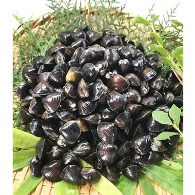 マルヨシ水産　冷凍蜆2kg(500g×4個)a_14