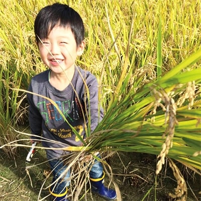 【令和6年産】キヌヒカリ　玄米10kg(5kg×2袋)