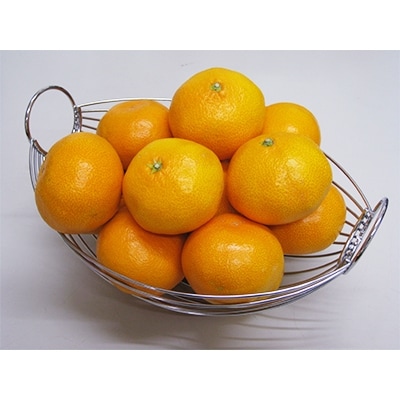 三豊みかん 約10kg