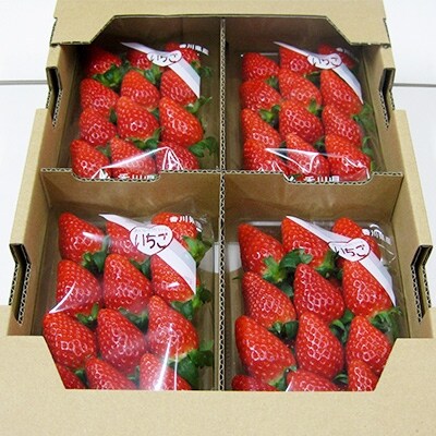 【年内発送】三豊のいちご食べ比べセット　約2kg