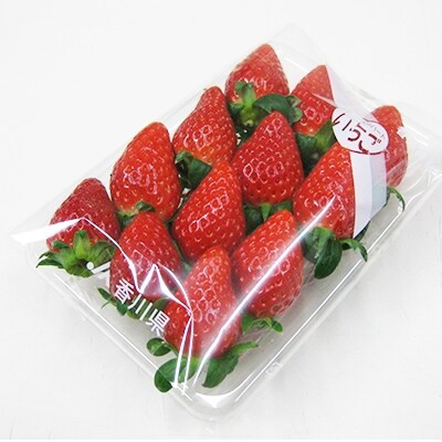 【年内発送】三豊のいちご食べ比べセット　約2kg