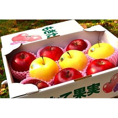 食べ比べ!2種詰合わせ 南部町の旬のりんご　3kg