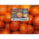 【2026年11月から順次発送】香川県オリジナル品種「小原紅早生みかん」　約5kg