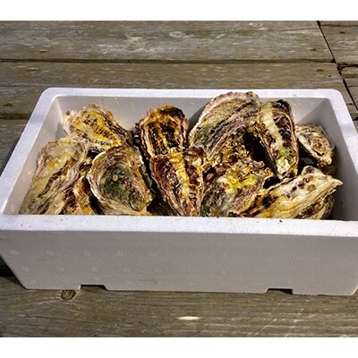 能登牡蠣 殻付 牡蠣 約3 5kg 約30個 専用ナイフ 片手用軍手付 加熱用 お礼品詳細 ふるさと納税なら さとふる