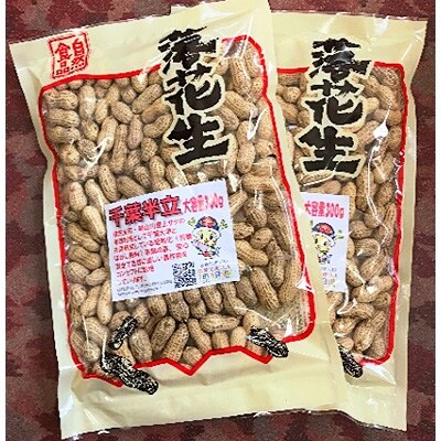 大容量殻付き煎り落花生・千葉半立300g×2袋　横芝光町遡上サケの有効利用肥料使用