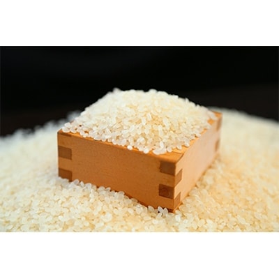 令和5年産　伊賀米コシヒカリ20kg(5kg×4袋)
