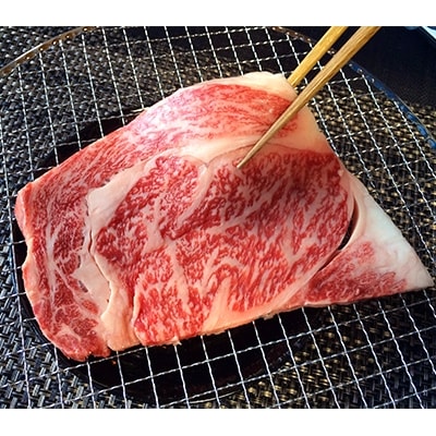 厳選 近江牛 リブロースステーキ 250g × 2