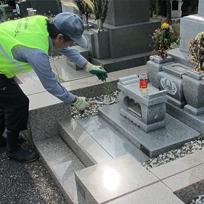 習志野市海浜霊園のお墓のお掃除代行(第2種)