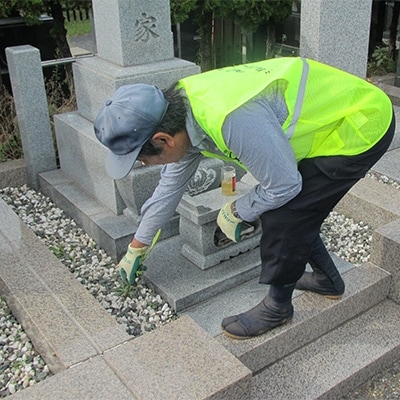 習志野市海浜霊園のお墓のお掃除代行(第2種)
