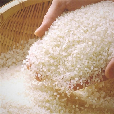 北村さんちの米コシヒカリ 6kg 2kg 3袋 精米 お礼品詳細 ふるさと納税なら さとふる 北村さんちの米コシヒカリ 6kg 2kg 3袋 精米 お礼品詳細 ふるさと納税なら さとふる