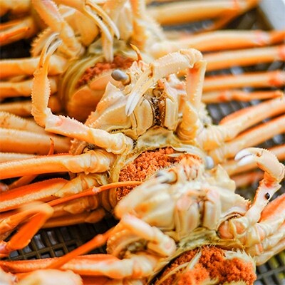 冬の味覚 茹でセイコガニ 5ハイ お礼品詳細 ふるさと納税なら さとふる