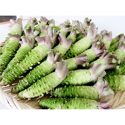 真妻わさび・鮫皮付きセット