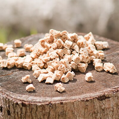 【ペットフード】米麹入りZYMOオリジナル チキンドライフード2袋セット 無添加・無着色・国産