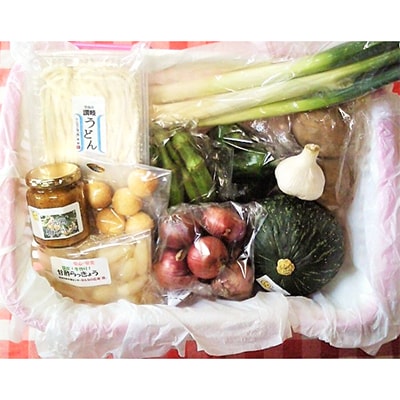 【福祉施設提供】季節の野菜と手打ちうどんと加工品のセット | ふるさと納税のお礼品