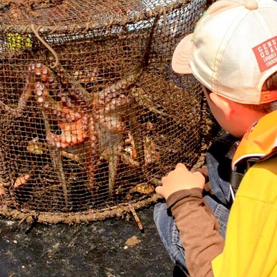 【福井県小浜市】釣り体験とかご漁体験　