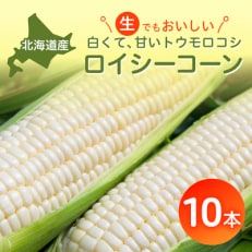 【2024年8月より発送開始】白いとうもろこしロイシーコーン 野菜ソムリエサミット金賞受賞