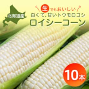 【2024年8月より発送開始】白いとうもろこしロイシーコーン 野菜ソムリエサミット金賞受賞