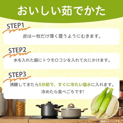 【2024年9月より発送開始】白いとうもろこしロイシーコーン　野菜ソムリエサミット金賞受賞