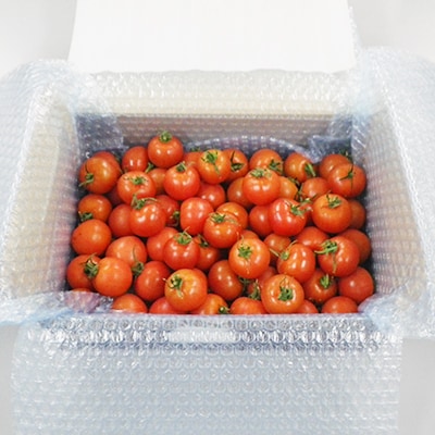 北海道興農社のあまえっこフルティカ 1.5kg 野菜ソムリエサミット金賞受賞 フルーツトマト 