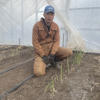 安平町出口農園 の【旨っ!】ハウスグリーンアスパラガス 800g