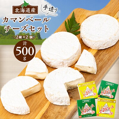 2023年10月発送開始『定期便』角谷 カマンベールチーズセット【125g×4個】全3回