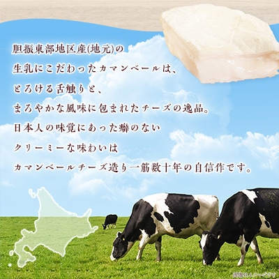 2023年10月発送開始『定期便』角谷 カマンベールチーズセット【125g×4個】全3回