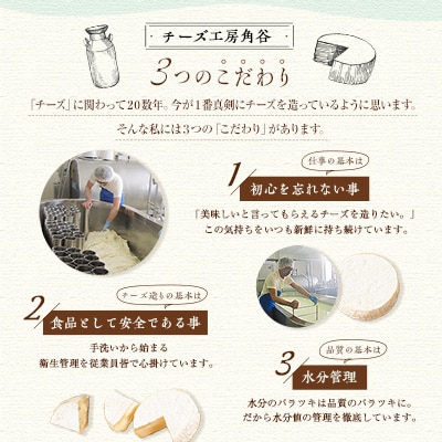 2023年10月発送開始『定期便』角谷 カマンベールチーズセット【125g×4個】全3回