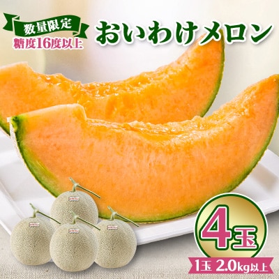 【数量限定】おいわけメロン 糖度16度以上　2.0kg以上×4玉入