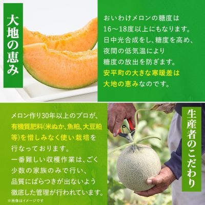【数量限定】 おいわけメロン 糖度16度以上　1.6kg以上×2玉入