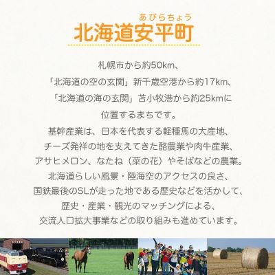 【数量限定】 おいわけメロン 糖度16度以上　1.6kg以上×2玉入