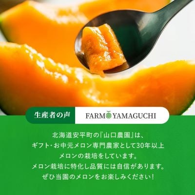 【2026年発送】おいわけメロンパック 糖度16度以上 1.4kg前後×3玉(数量限定)