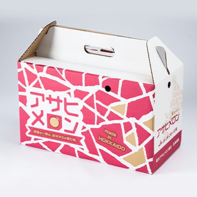 【2024年発送】追分アサヒメロン〔秀品〕2玉(5玉サイズ)【JAとまこまい広域取扱 安平町特産品】