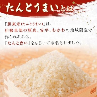【毎月定期便】【安平町特産品】たんとうまい5kg 〔ななつぼし〕全3回