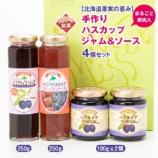【北海道果実の恵み】まるごと果肉入　手作りハスカップジャム&ソース　計4個セット | ふるさと納税のお礼品