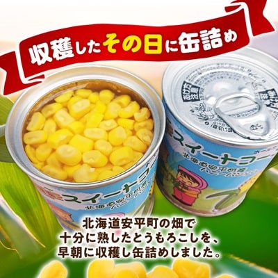 あびらのスイートコーン缶　24個入り　2025年収穫分