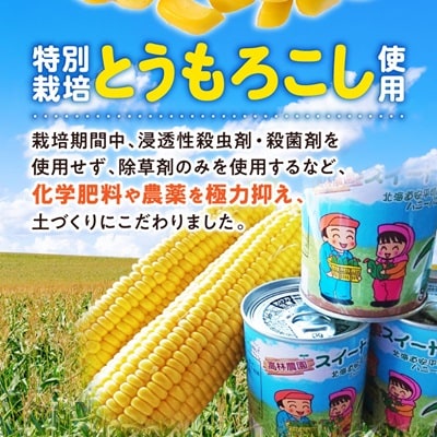 あびらのスイートコーン缶　24個入り　2025年収穫分