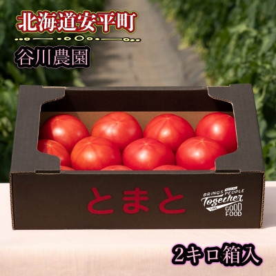 【北海道産】樹上熟3段採り 桃太郎トマト / 正品2kg箱(10～14玉入)