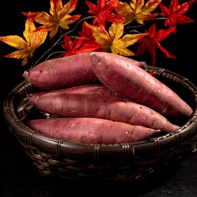 【北海道安平町】琥珀干し芋　《保存料・人工着色料不使用》 100g×6袋