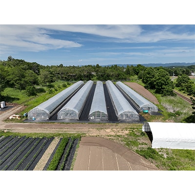 【3ヵ月毎定期便】谷川農園の桃太郎トマトジュース【180ml×12本】全4回