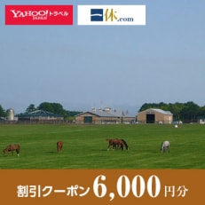 【北海道安平町】一休.com・Yahoo!トラベル割引クーポン(6,000円分)