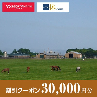 【北海道安平町】一休.com・Yahoo!トラベル割引クーポン(30,000円分)