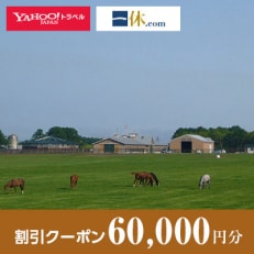 【北海道安平町】一休.com・Yahoo!トラベル割引クーポン(60,000円分)