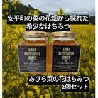 あびら菜の花はちみつ2個セット