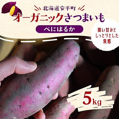 オーガニックさつまいも(べにはるか)5kg