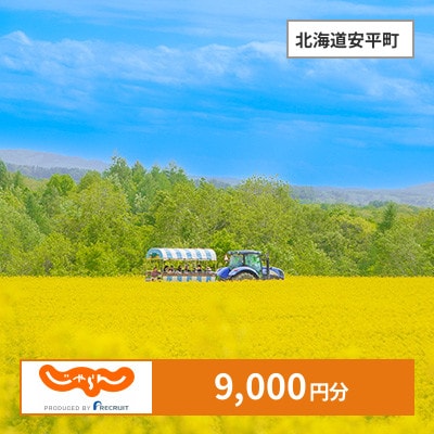 【じゃらんふるさと納税クーポン】 北海道安平町でつかえる9,000円 クーポン