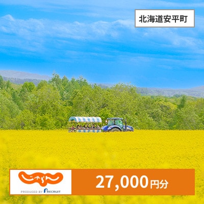 【じゃらんふるさと納税クーポン】 北海道安平町でつかえる27,000円 クーポン
