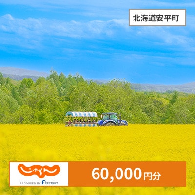 【じゃらんふるさと納税クーポン】 北海道安平町でつかえる60,000円 クーポン