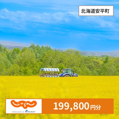 【じゃらんふるさと納税クーポン】 北海道安平町でつかえる199,800円 クーポン